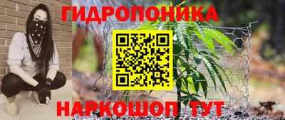 a pvp Кунгур