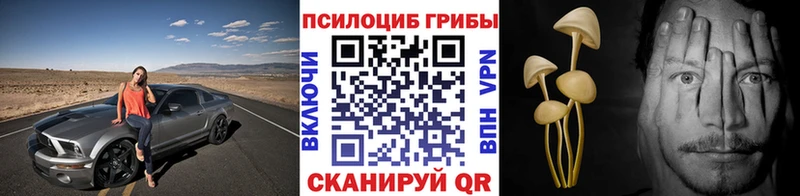 Галлюциногенные грибы Magic Shrooms  Волхов 