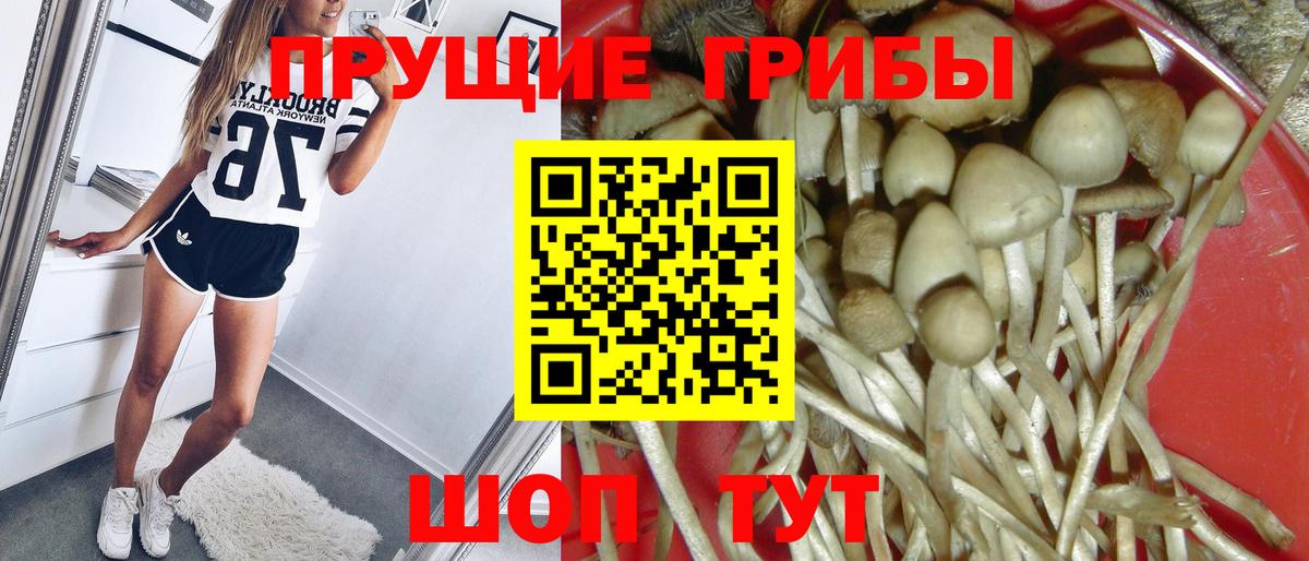 Галлюциногенные грибы Magic Shrooms Волхов