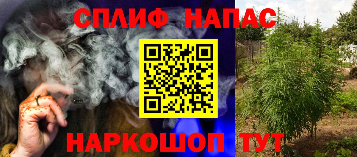 Волхов  МАРИХУАНА семена  Вход с VPN  МАРИХУАНА MAZAR  Шишки марихуана планчик  Шишки марихуана конопля 